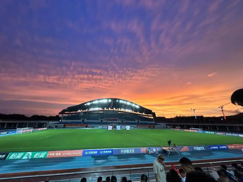 雨燕直播体育免费直播